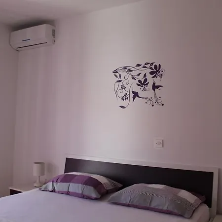 Nikola Leko Hvar Town